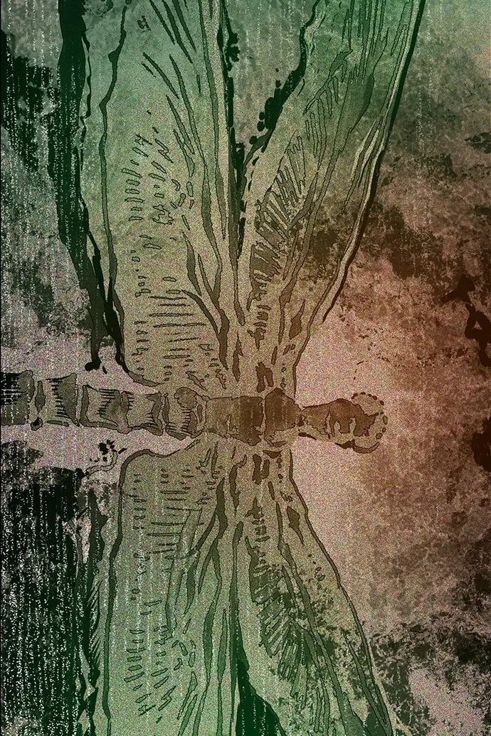 Сторінка 195