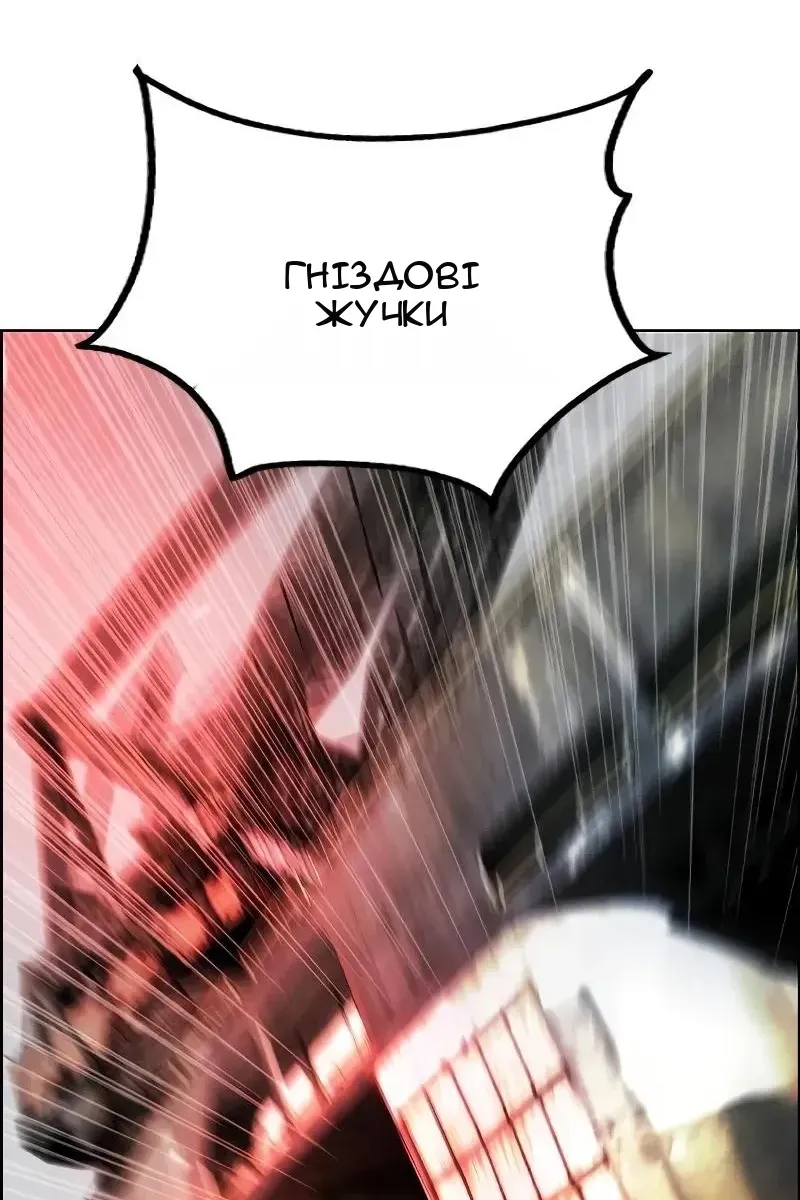Сторінка 11