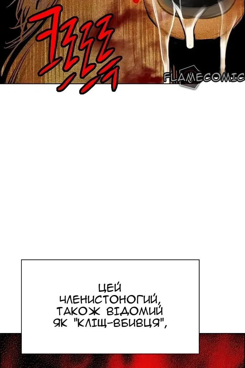 Сторінка 67