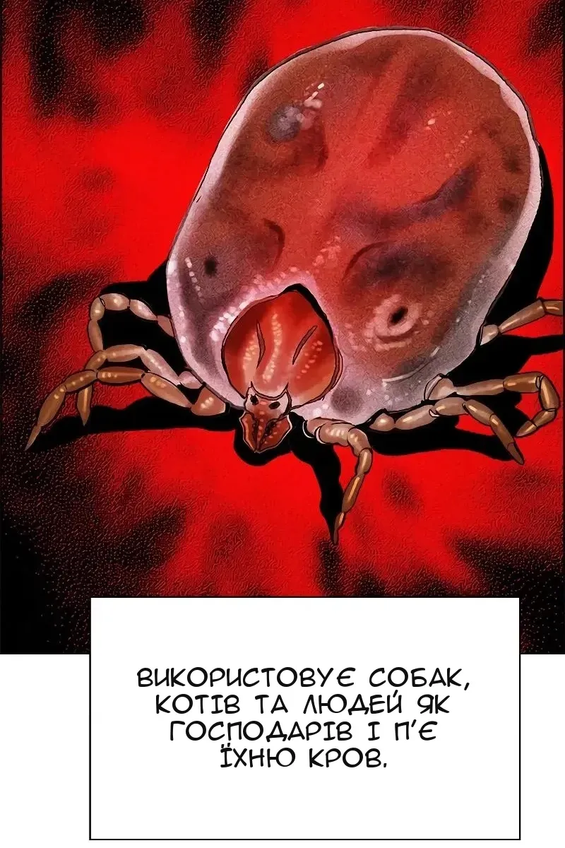 Сторінка 68