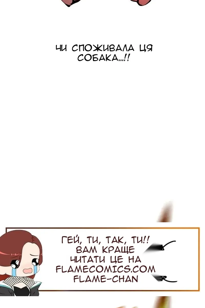 Сторінка 81