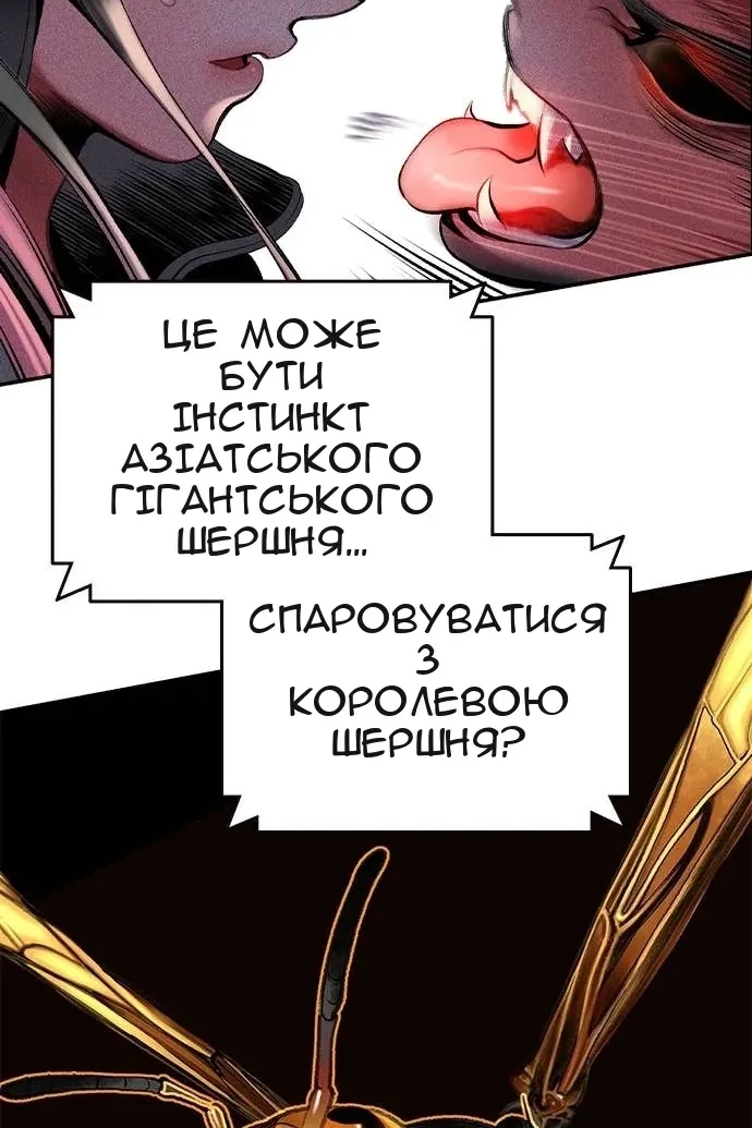 Сторінка 97