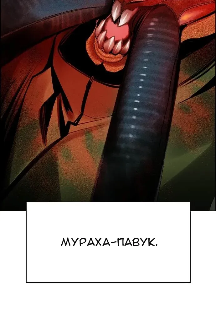 Сторінка 165