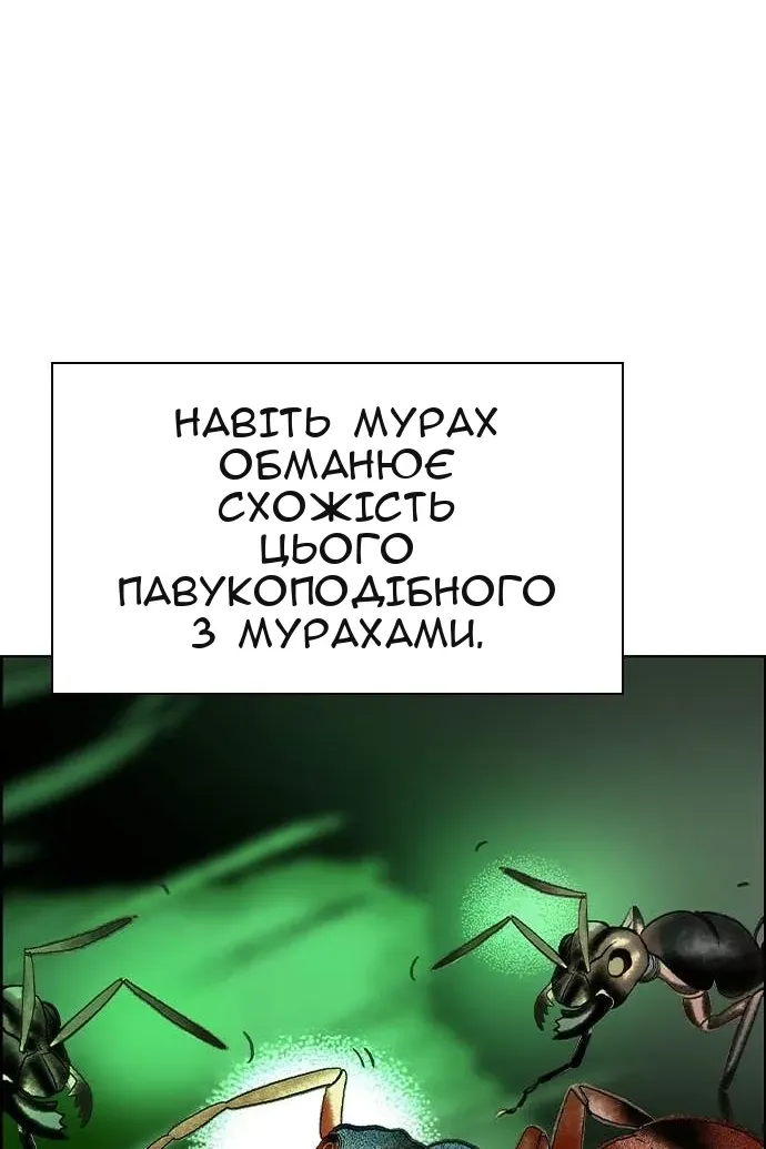 Сторінка 166