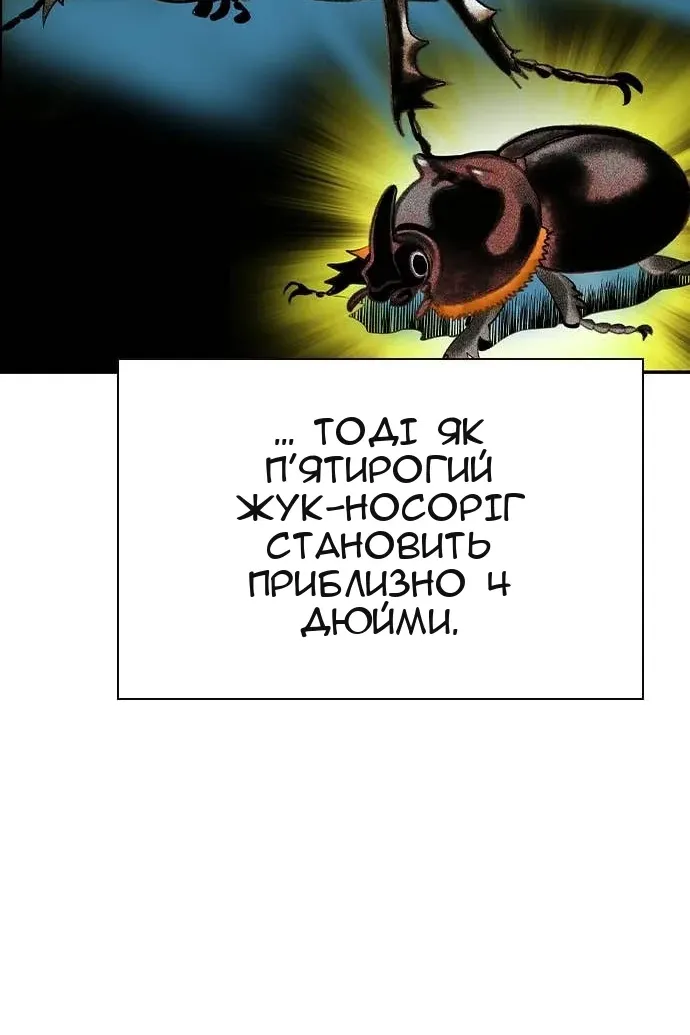 Сторінка 155