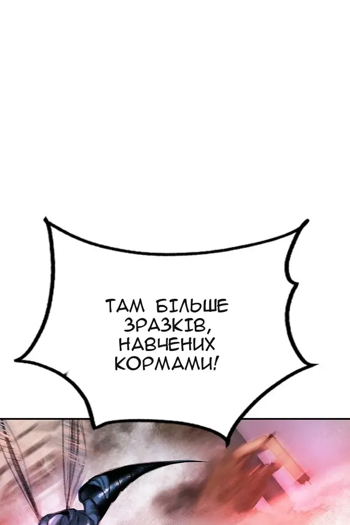 Сторінка 11