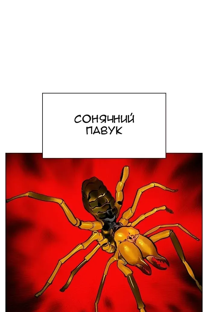Сторінка 24