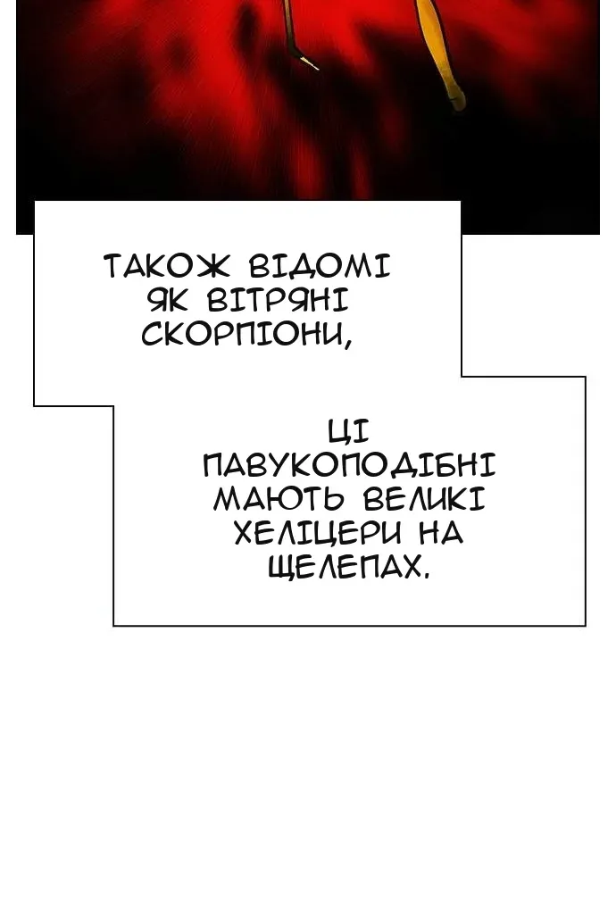 Сторінка 25