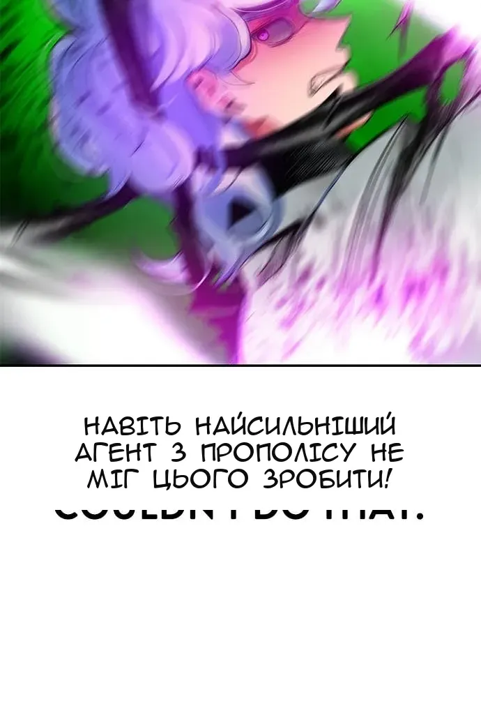 Сторінка 17