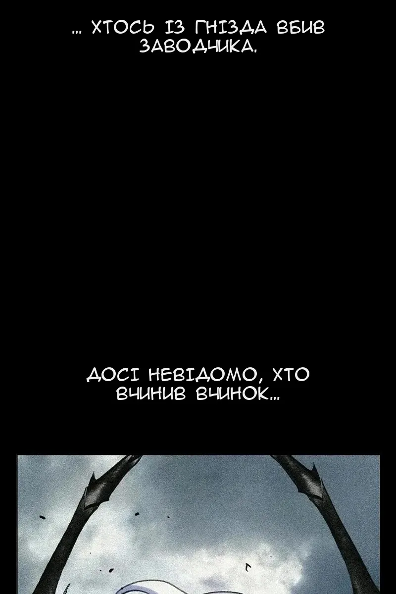 Сторінка 17