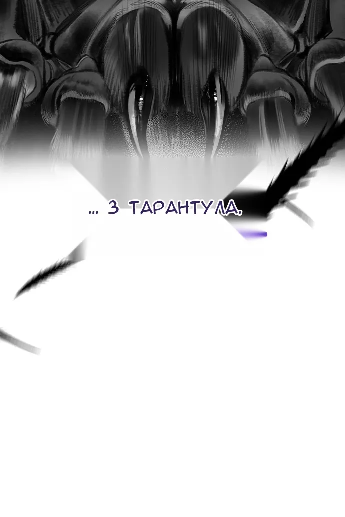 Сторінка 71