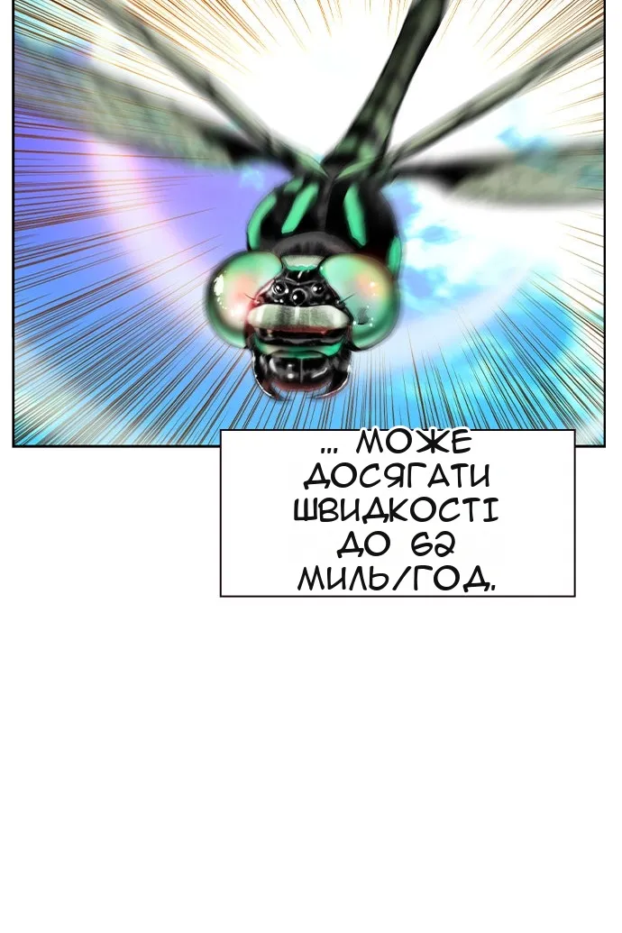 Сторінка 117