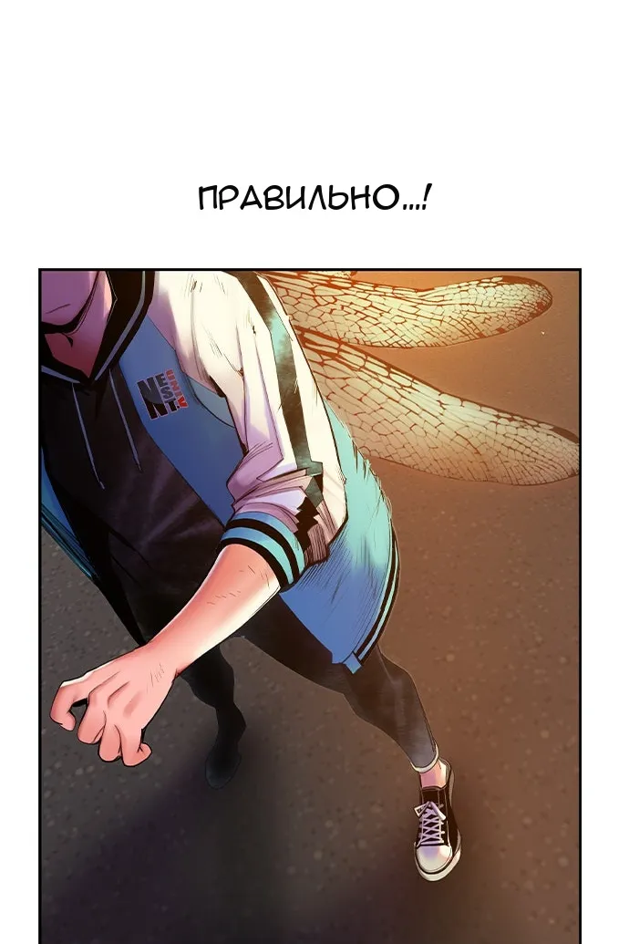 Сторінка 19