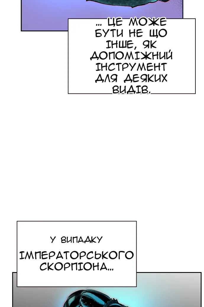 Сторінка 57