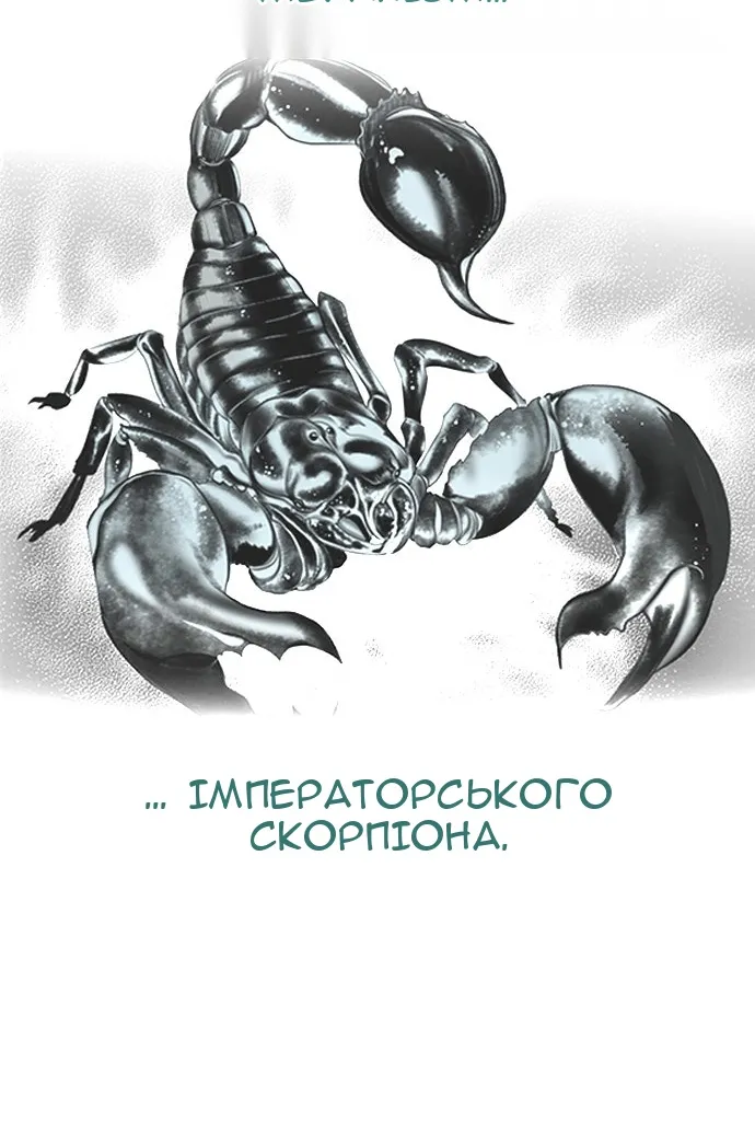 Сторінка 62