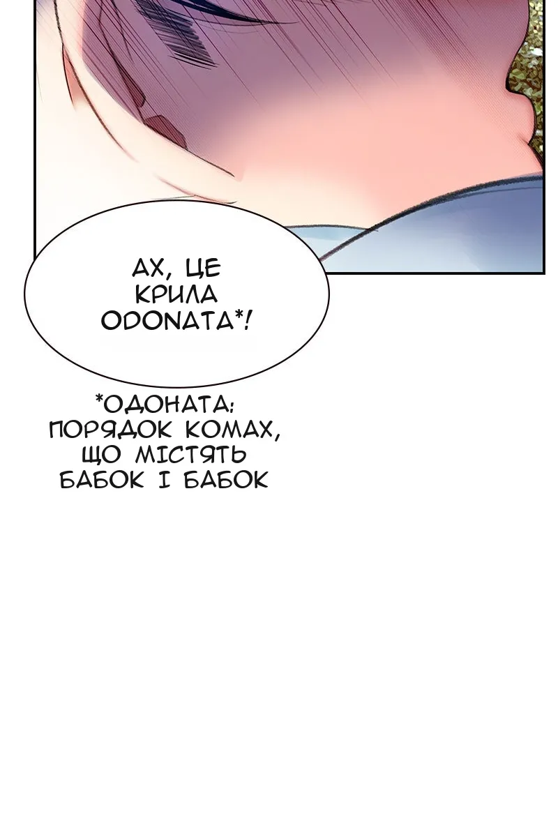 Сторінка 30
