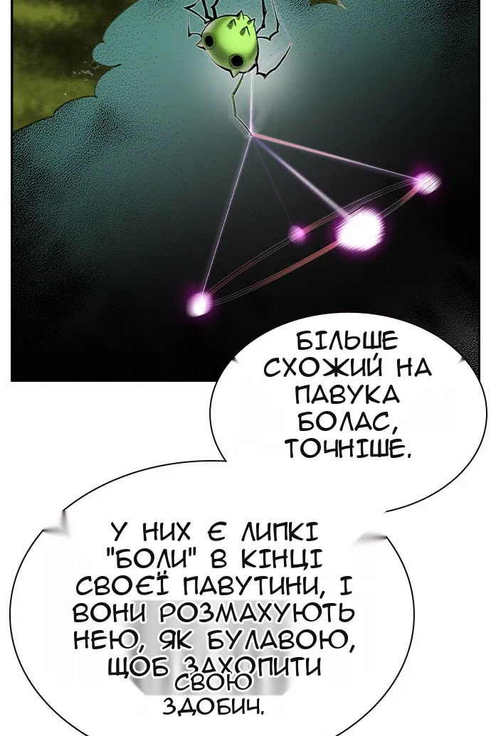 Сторінка 11