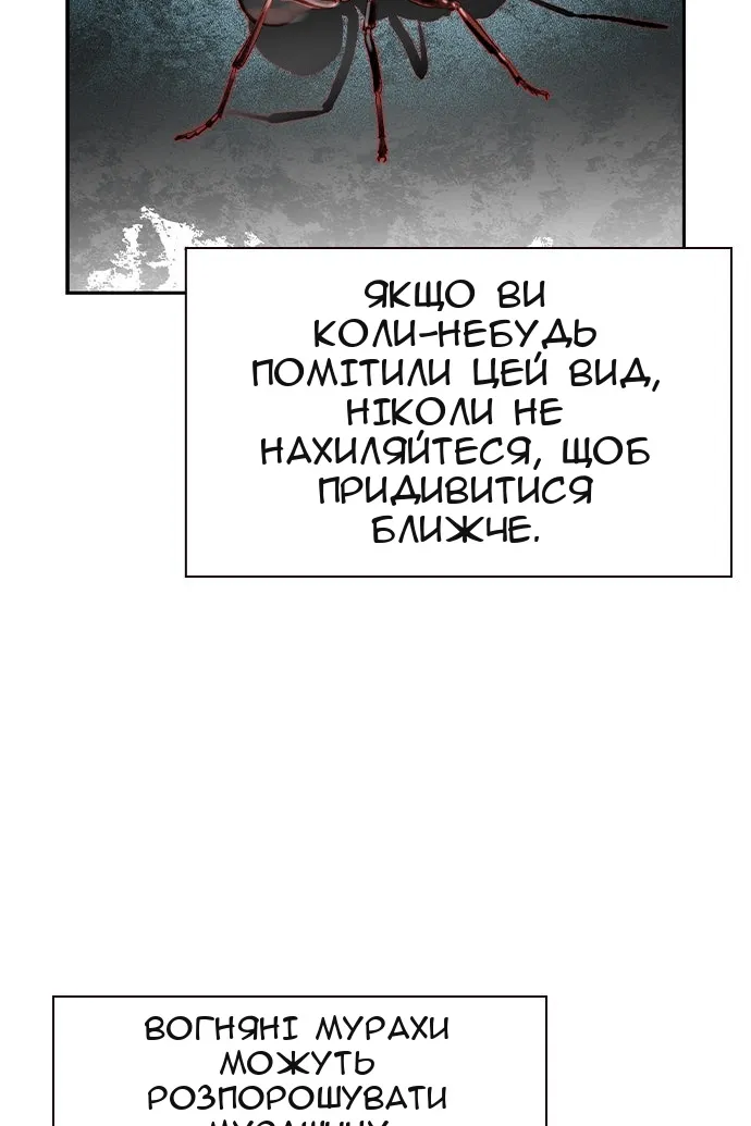 Сторінка 45