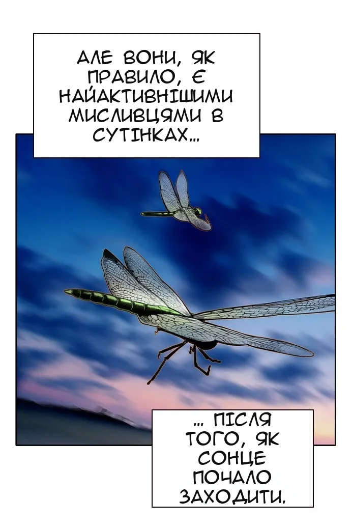 Сторінка 113