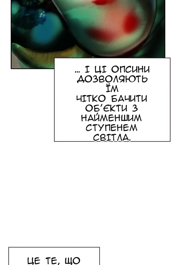 Сторінка 115
