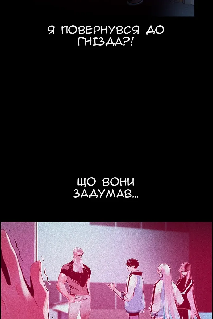 Сторінка 29