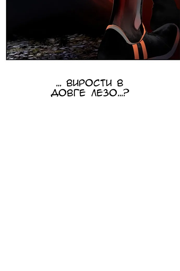 Сторінка 6