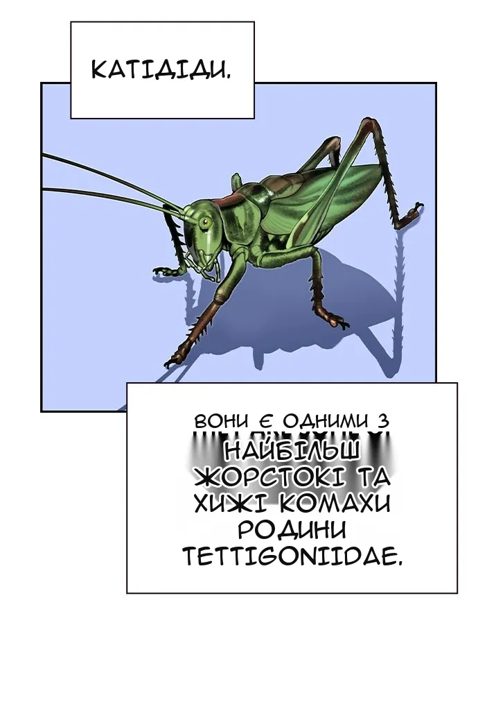 Сторінка 28