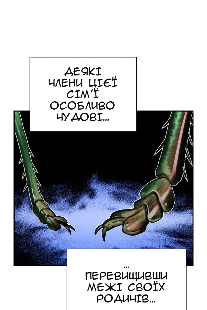 Сторінка 29