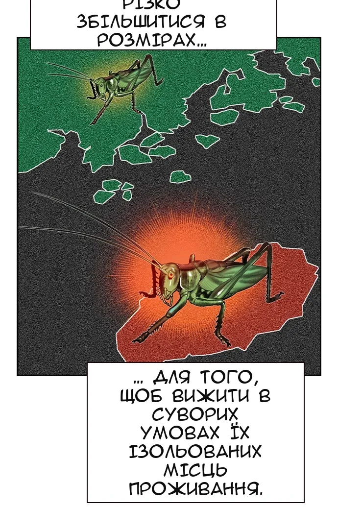 Сторінка 32