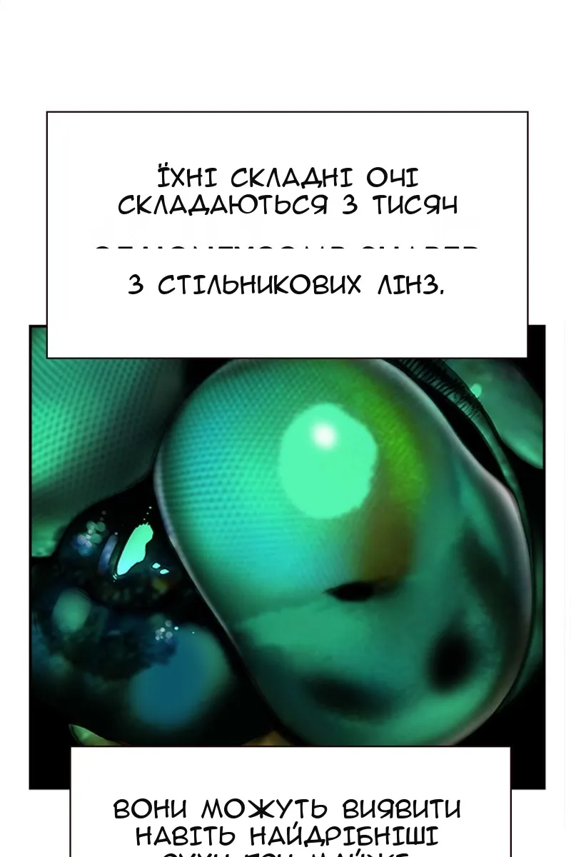 Сторінка 137