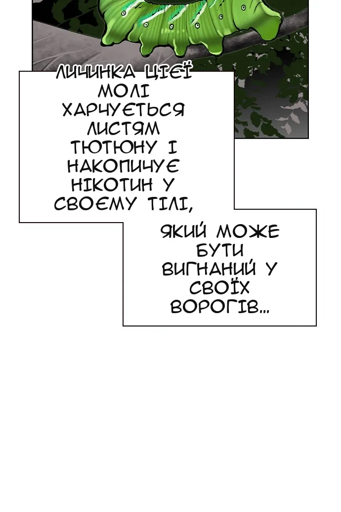 Сторінка 24