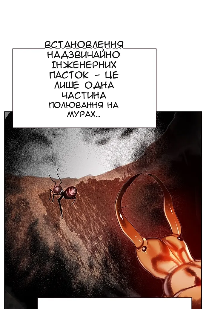 Сторінка 91
