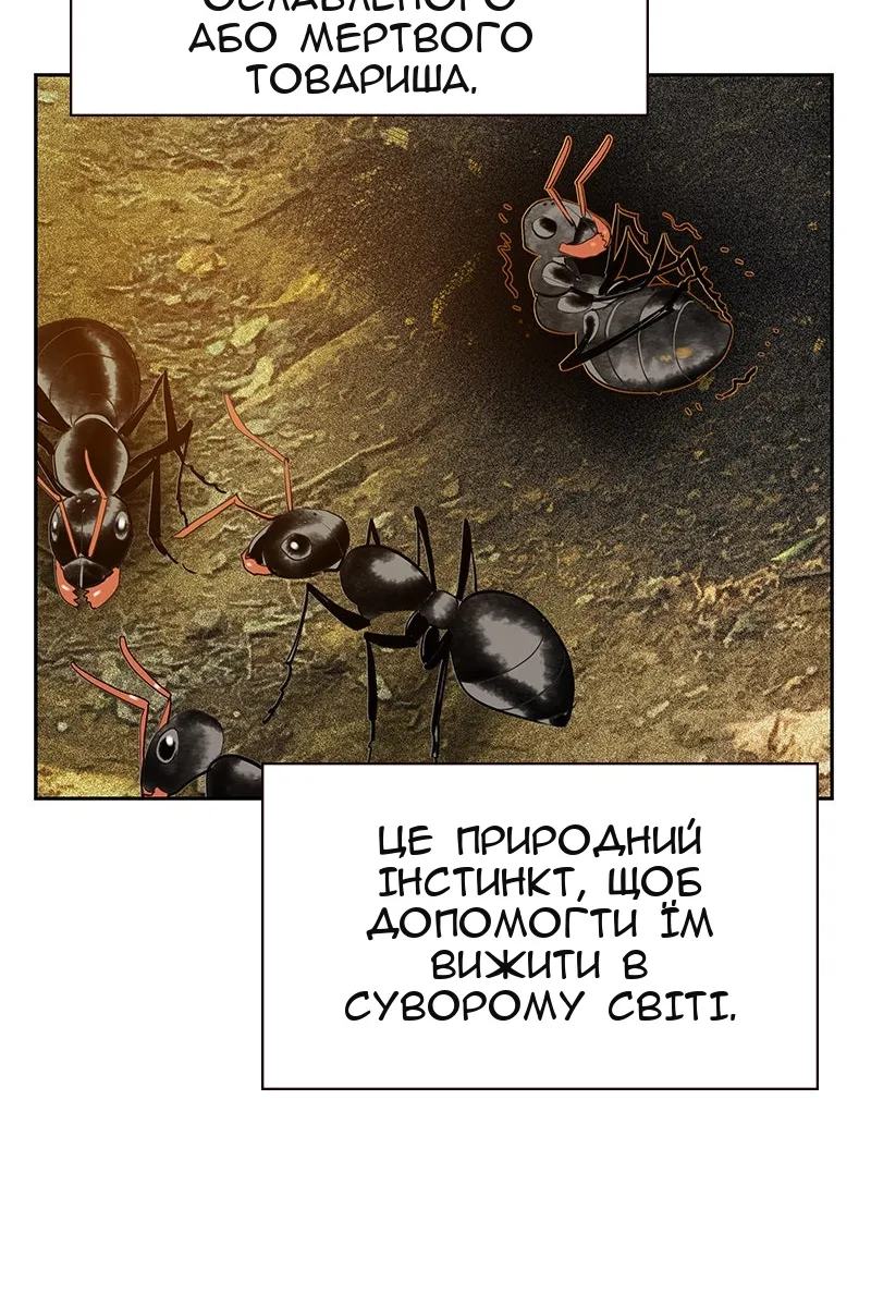 Сторінка 52