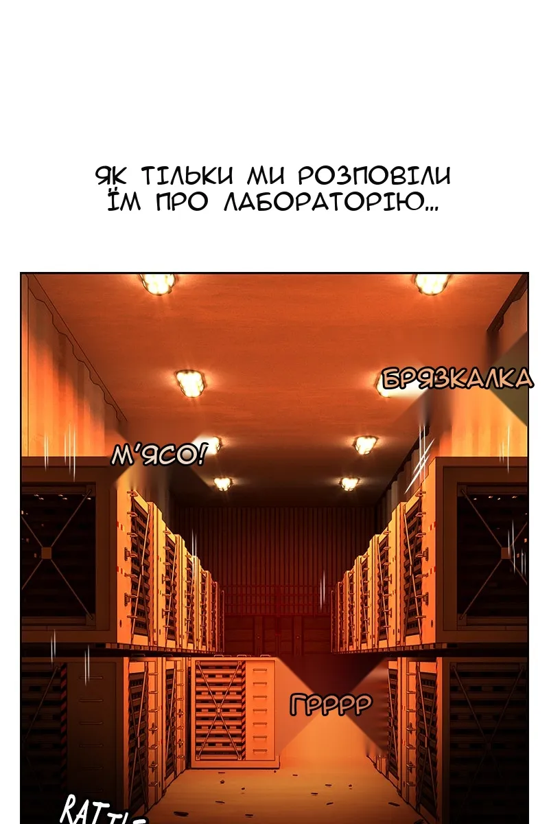 Сторінка 81