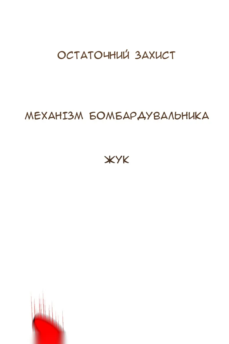Сторінка 38