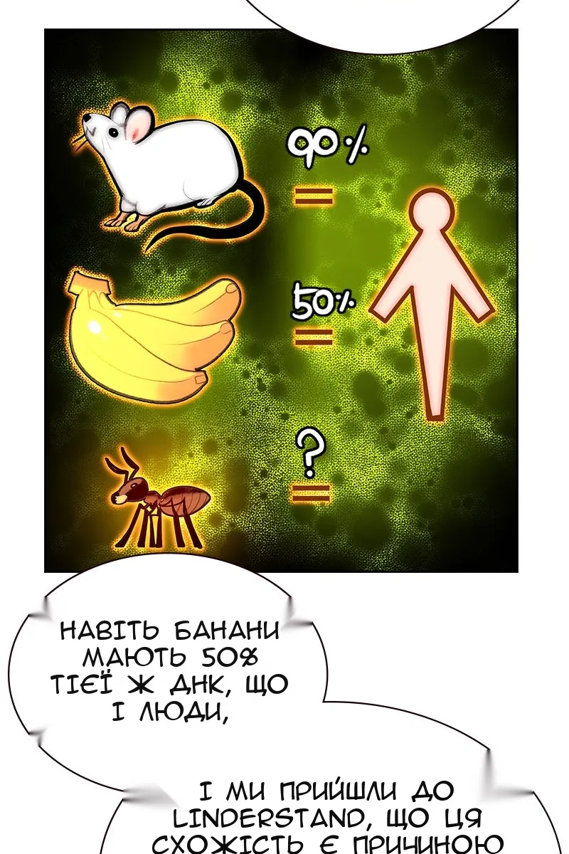 Сторінка 34