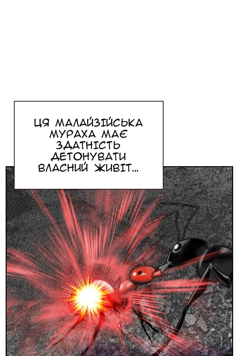 Сторінка 25