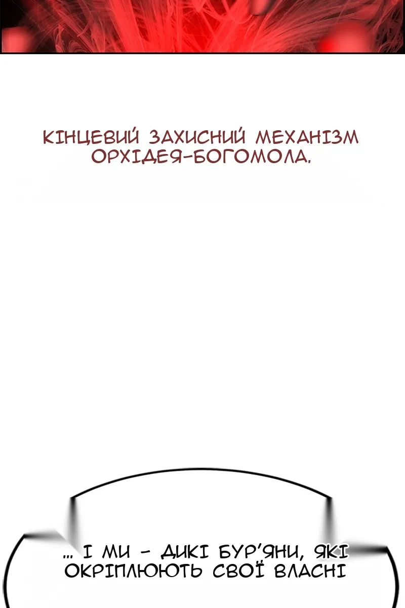Сторінка 108