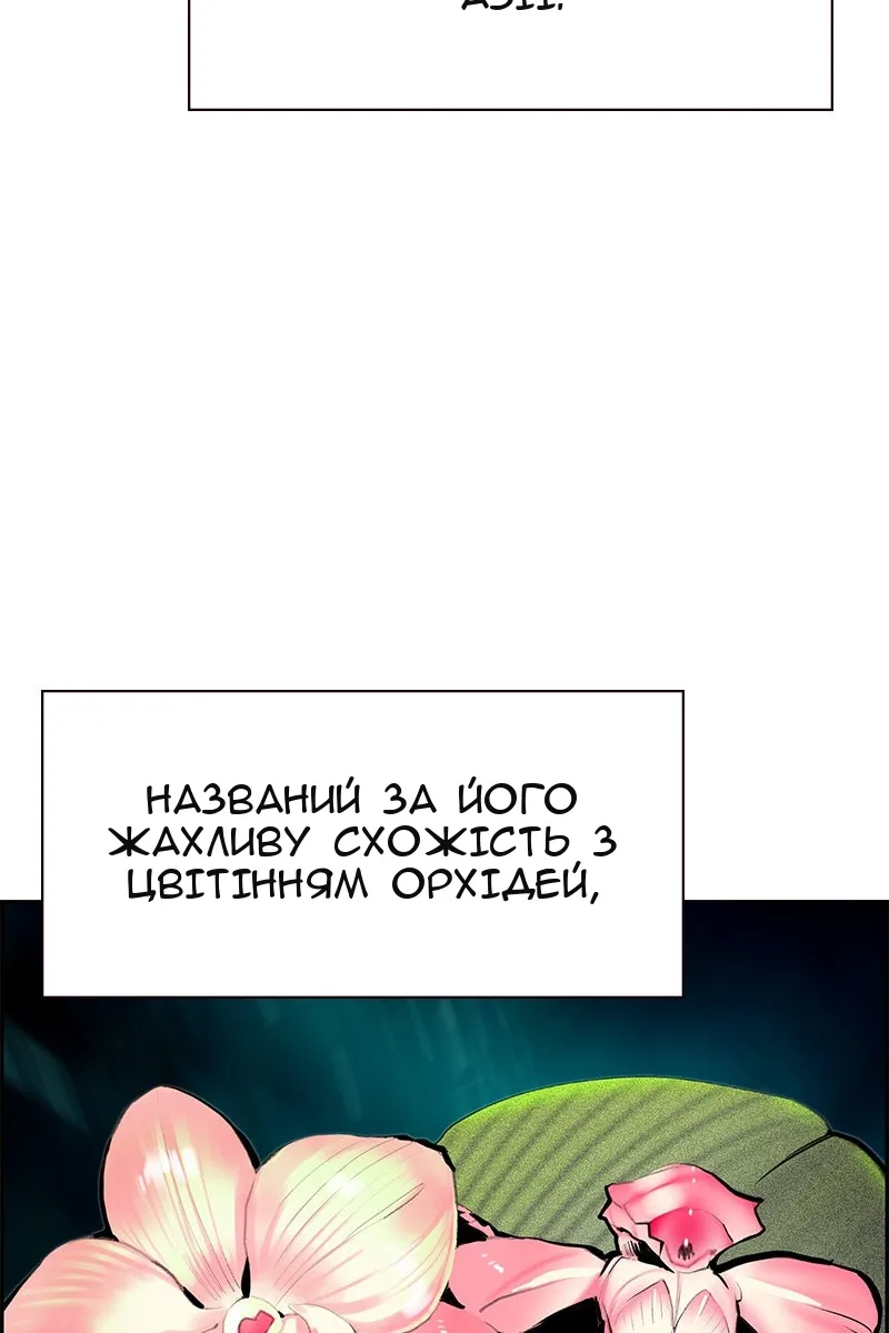 Сторінка 5