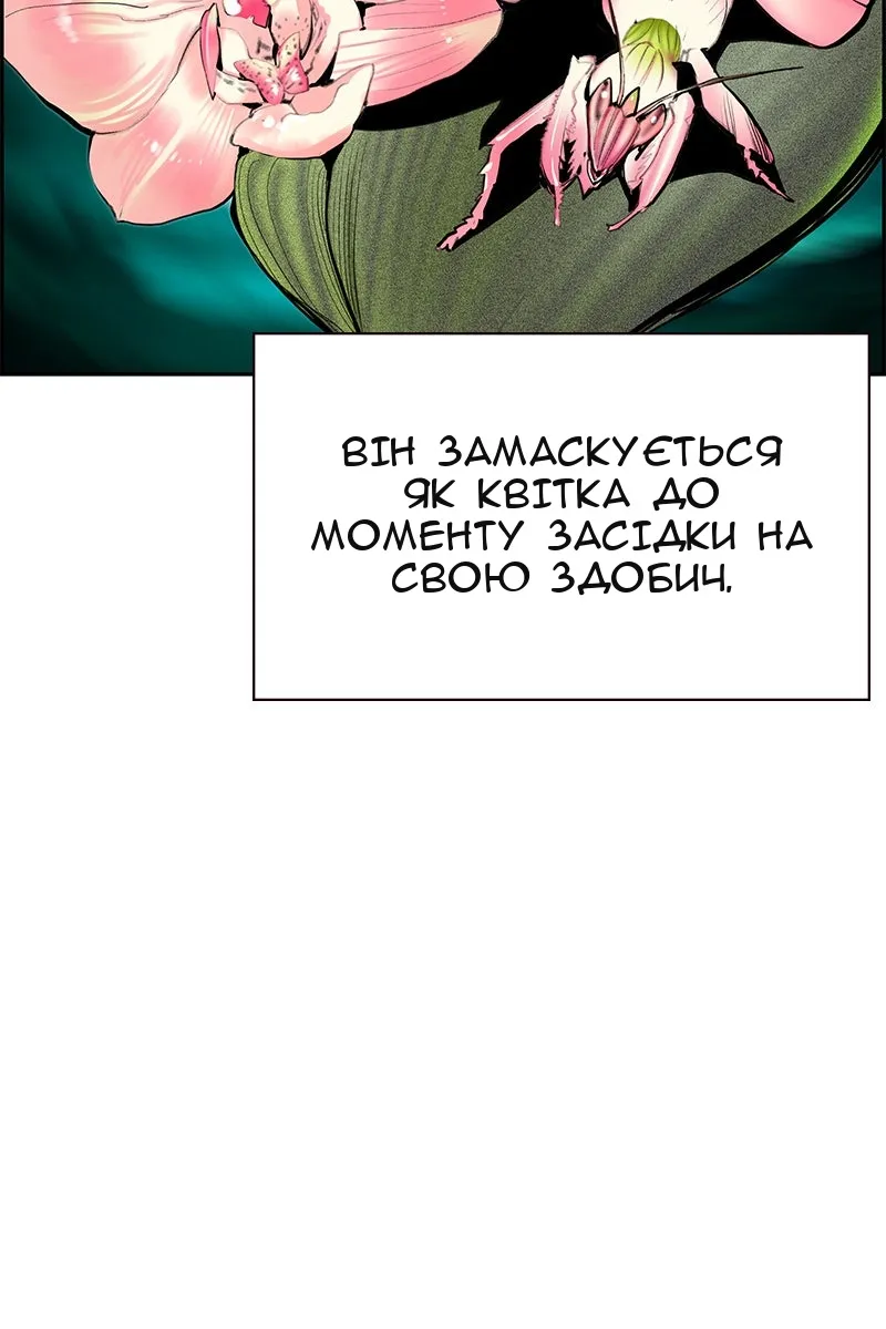 Сторінка 6