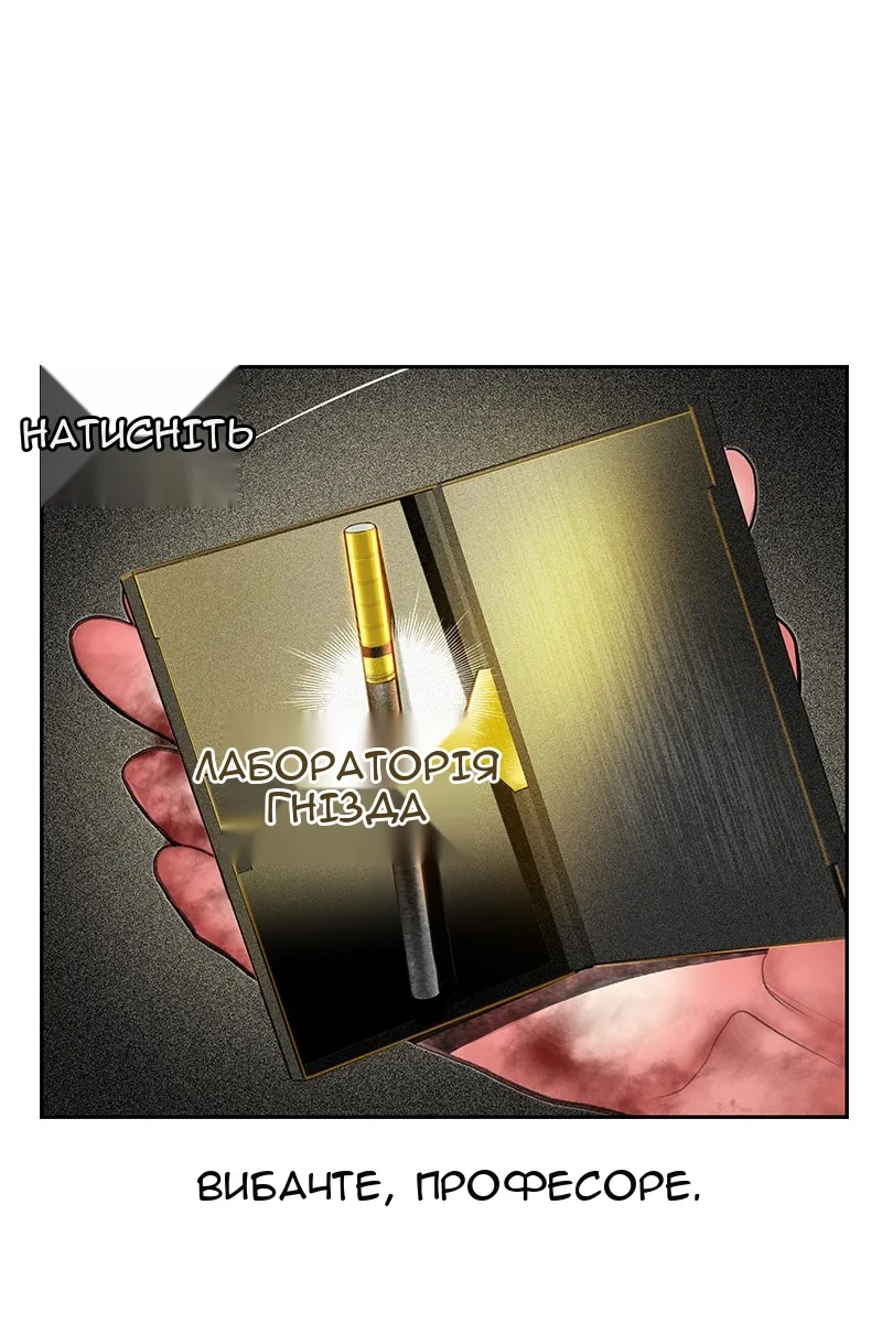 Сторінка 29