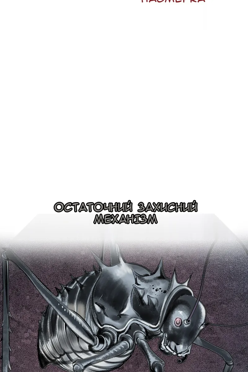 Сторінка 43