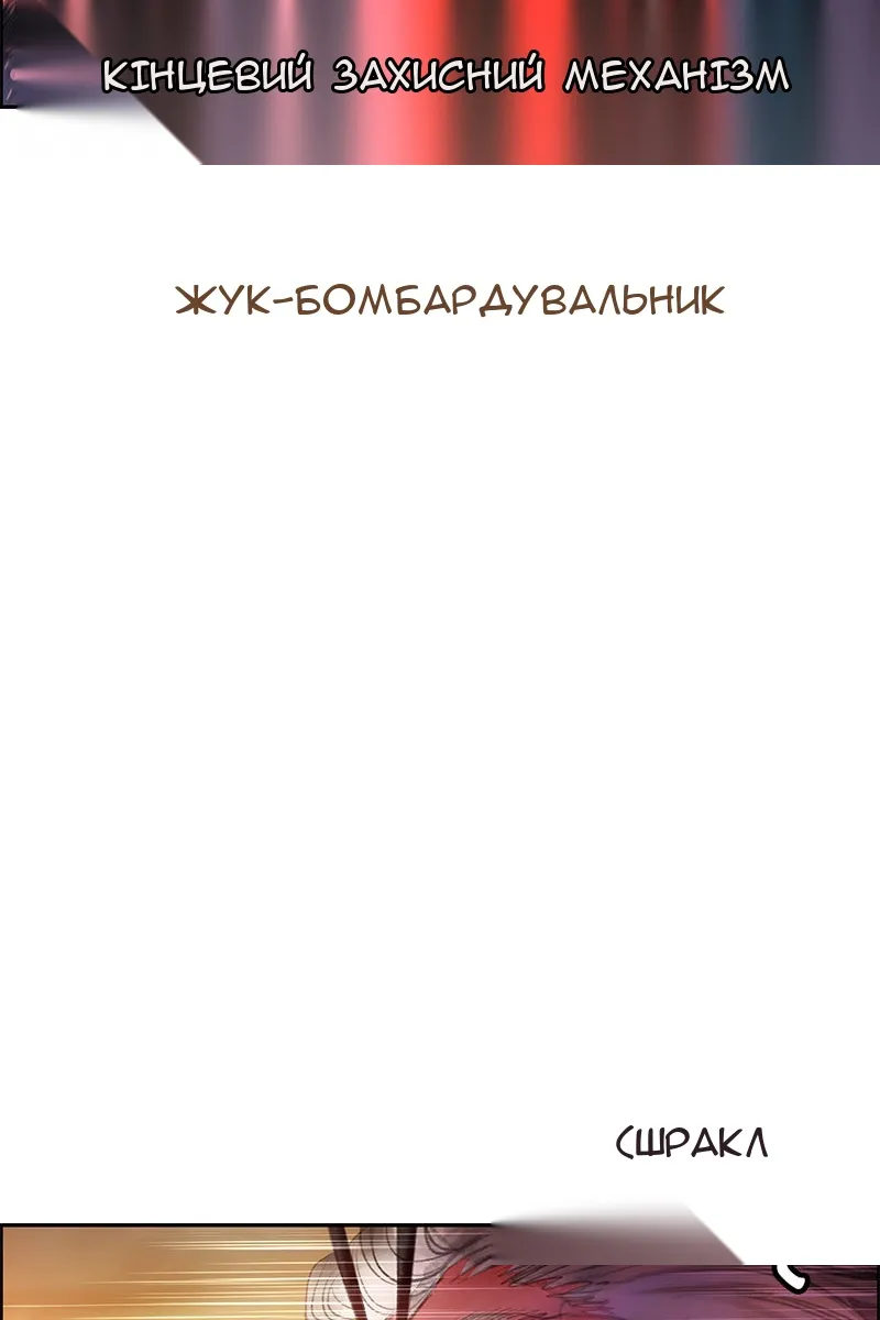 Сторінка 41