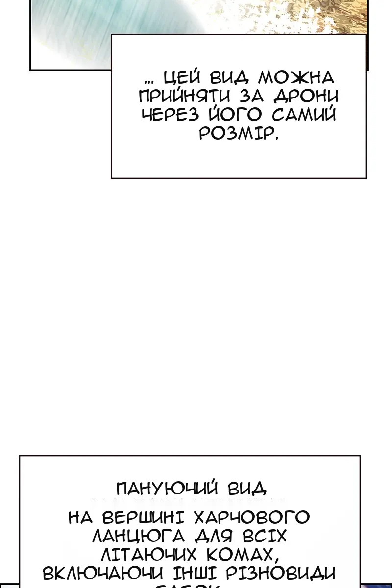 Сторінка 102