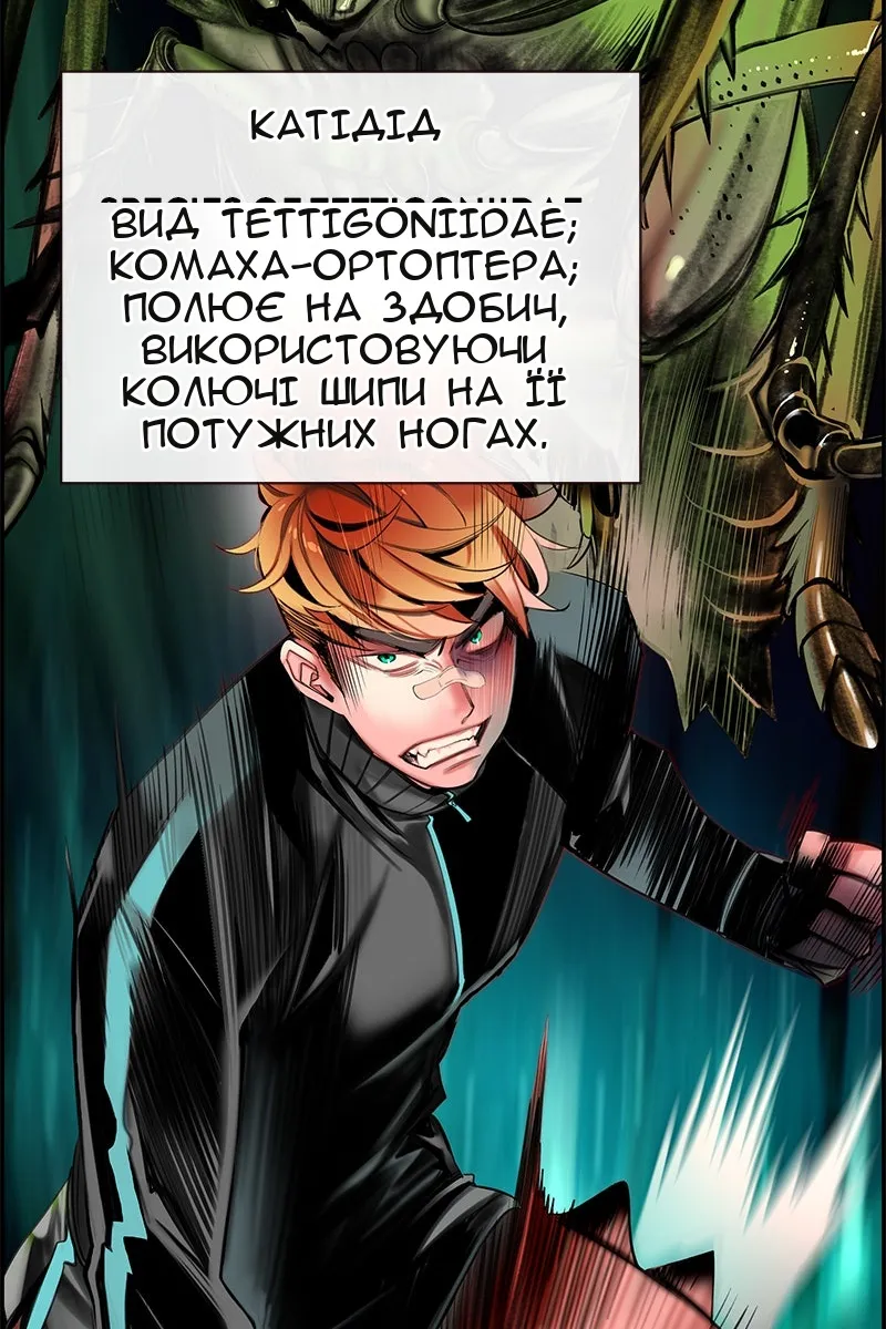 Сторінка 44