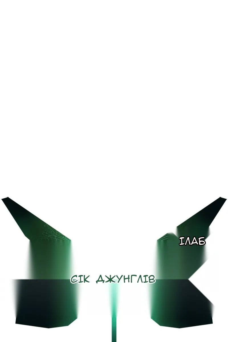 Сторінка 31