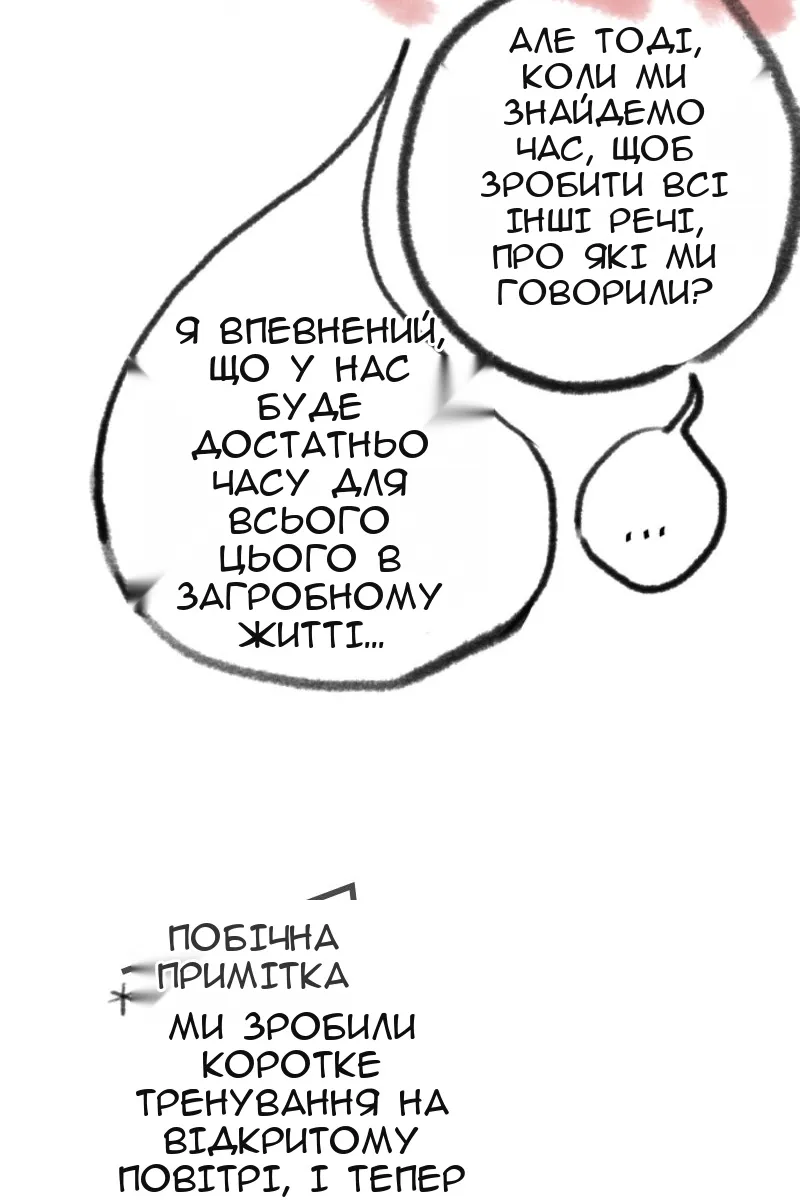 Сторінка 41