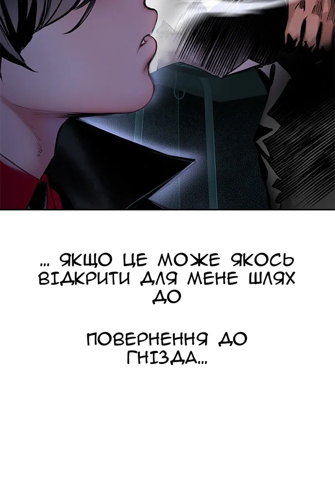 Сторінка 17