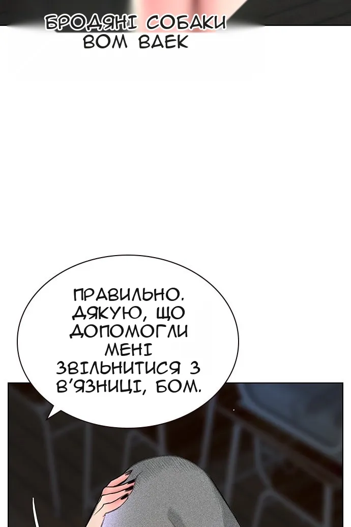 Сторінка 41