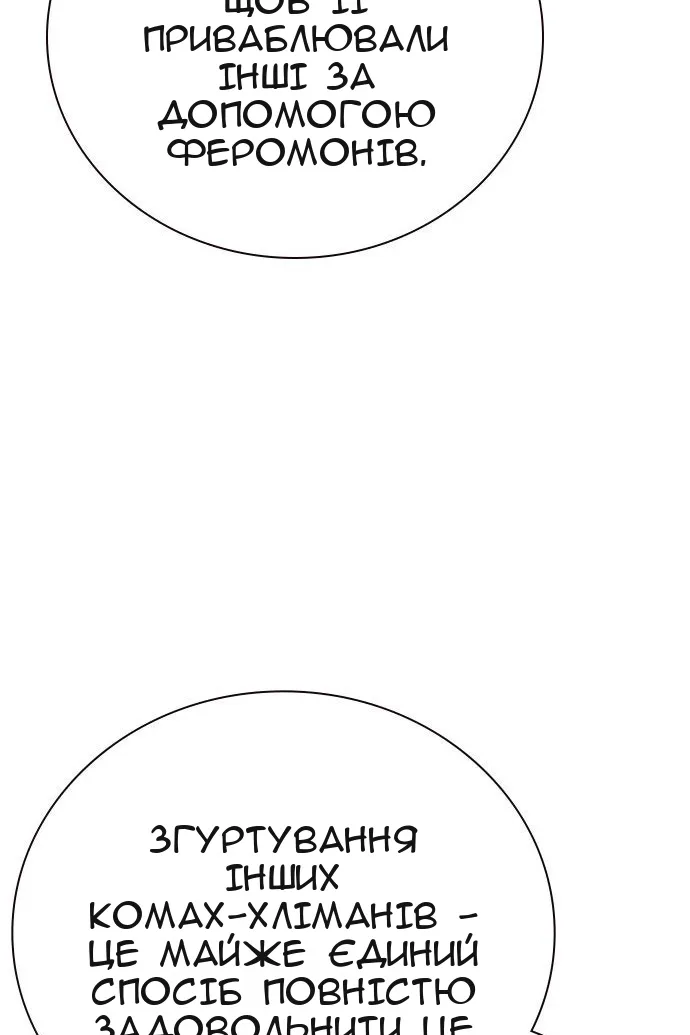 Сторінка 30